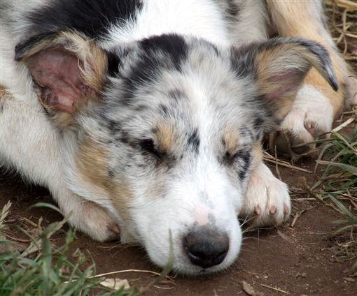 Click for large image