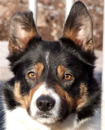 Click for large image