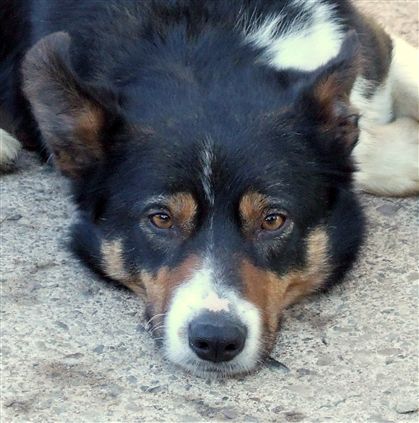 Click for large image