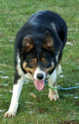 Click for large image