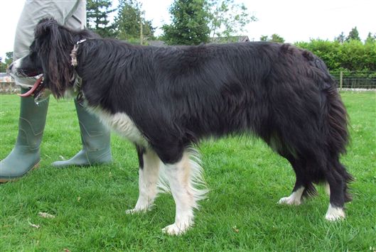 Click for large image