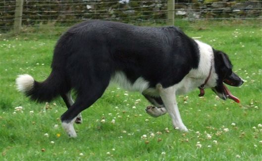 Click for large image