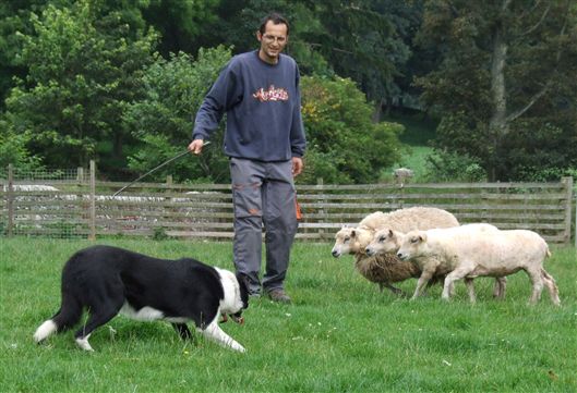 Click for large image