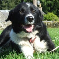 Click for large image