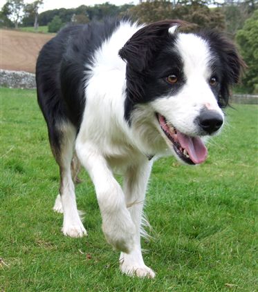 Click for large image