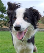 Click for large image