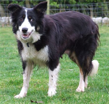 Click for large image