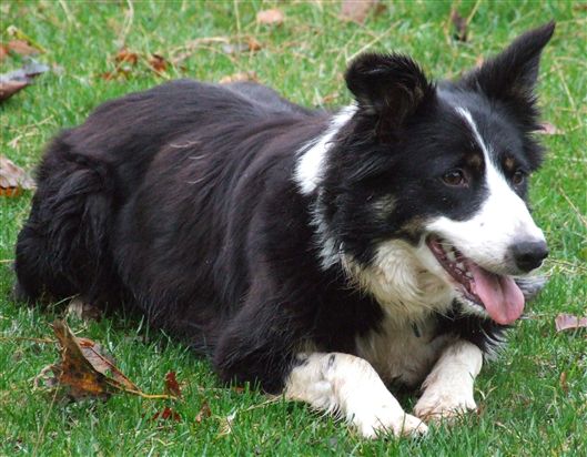 Click for large image