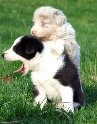 Click for large image