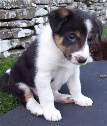 Click for large image