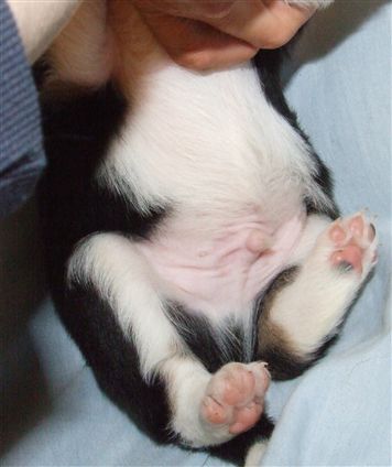 Click for large image