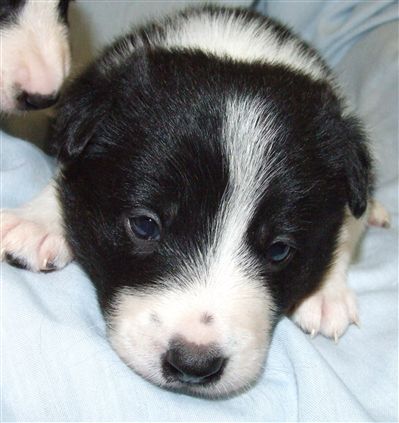 Click for large image