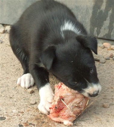 Click for large image