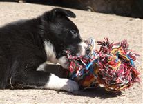 Click for large image