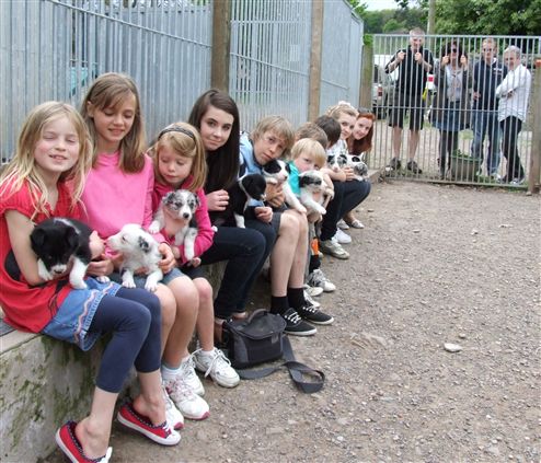 Click for large image