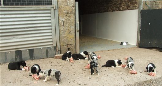 Click for large image