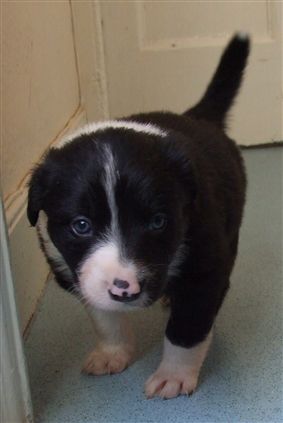 Click for large image