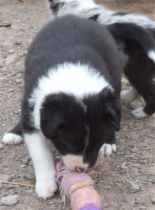 Click for large image