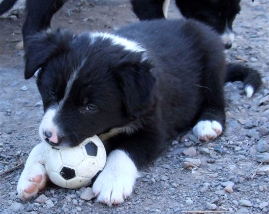 Click for large image