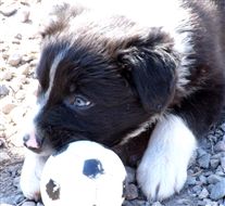 Click for large image