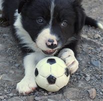 Click for large image