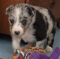 Click for large image