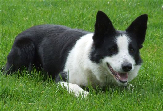 Click for large image