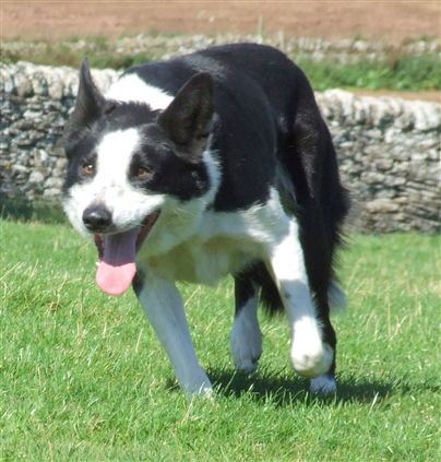 Click for large image