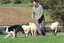 Click for large image