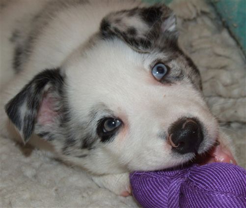 Click for large image