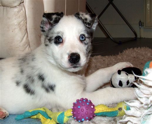 Click for large image