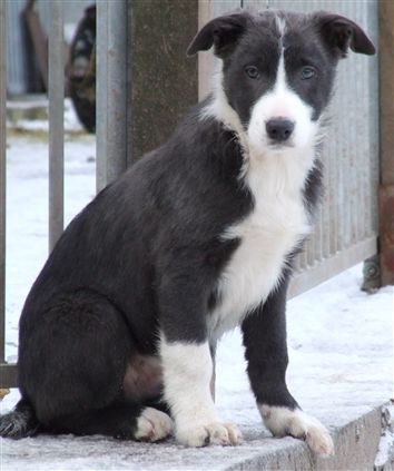 Click for large image