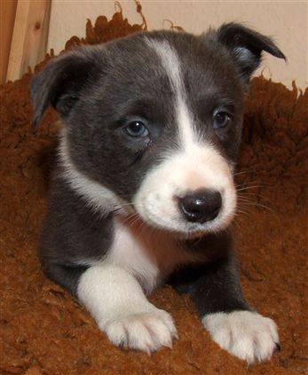 Click for large image