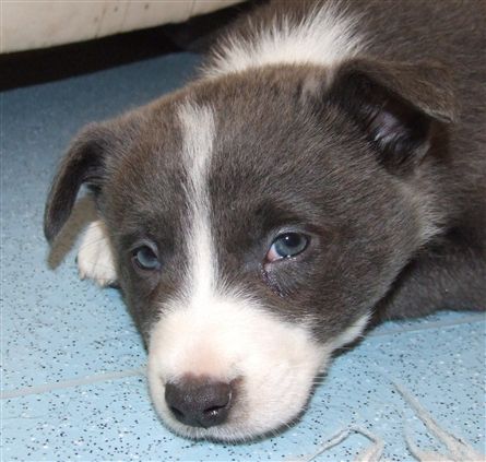 Click for large image