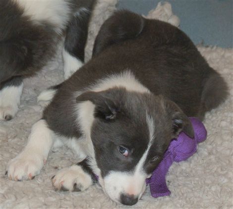 Click for large image