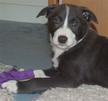 Click for large image