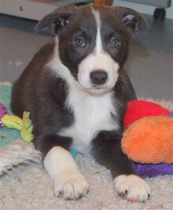 Click for large image