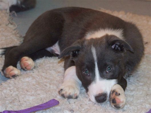 Click for large image