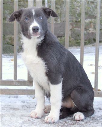 Click for large image