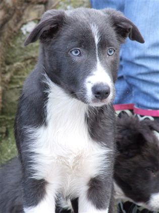 Click for large image