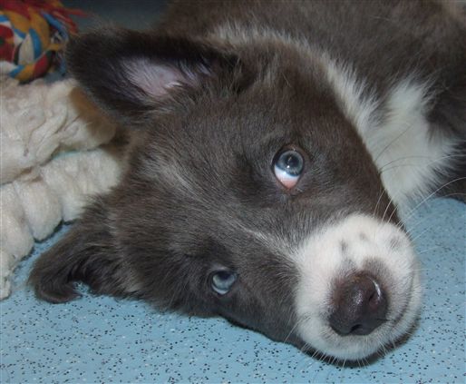 Click for large image