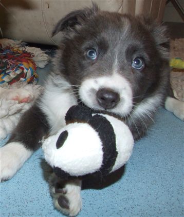 Click for large image