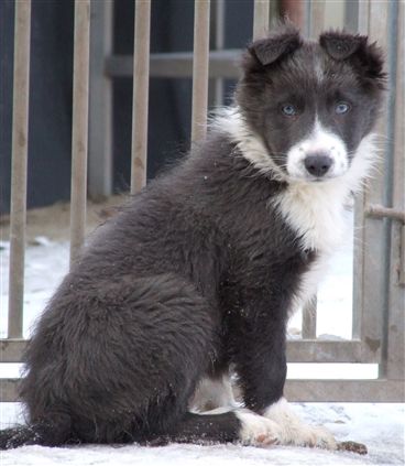 Click for large image