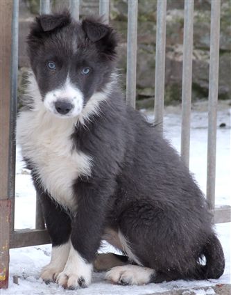 Click for large image