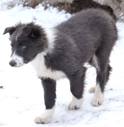 Click for large image