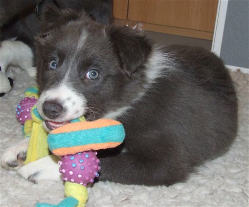 Click for large image