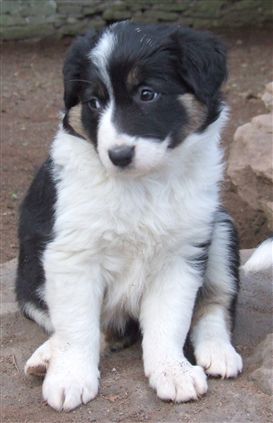 Click for large image