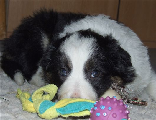 Click for large image