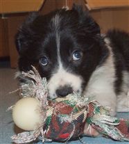 Click for large image