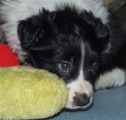 Click for large image